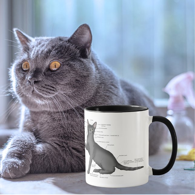 Mug Diagramme d'anatomie de chat drôle Humour Nerd (Créateur téléchargé)