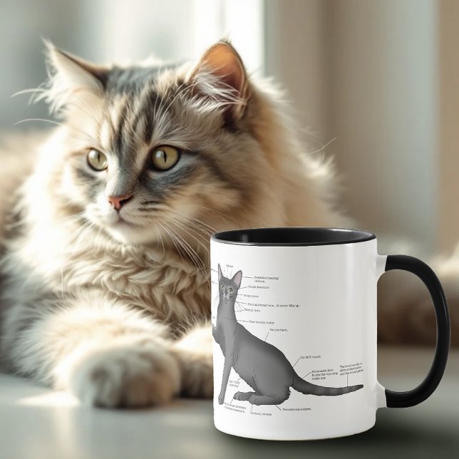 Mug Diagramme d'anatomie de chat drôle Humour Nerd (Créateur téléchargé)