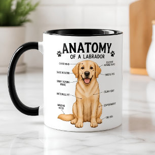 Mug Diagramme d'anatomie drôle de Labrador Retriever