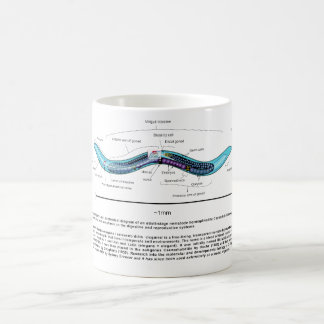 Mug Diagramme de Caenorhabditis elegans d'ascaride