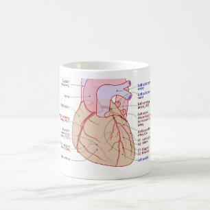 Mug Diagramme de circulation des artères coronaires Co