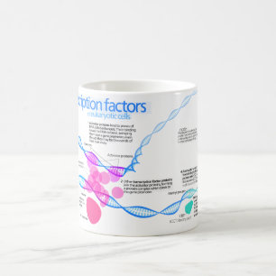 Mug Diagramme des facteurs de transcription de gène