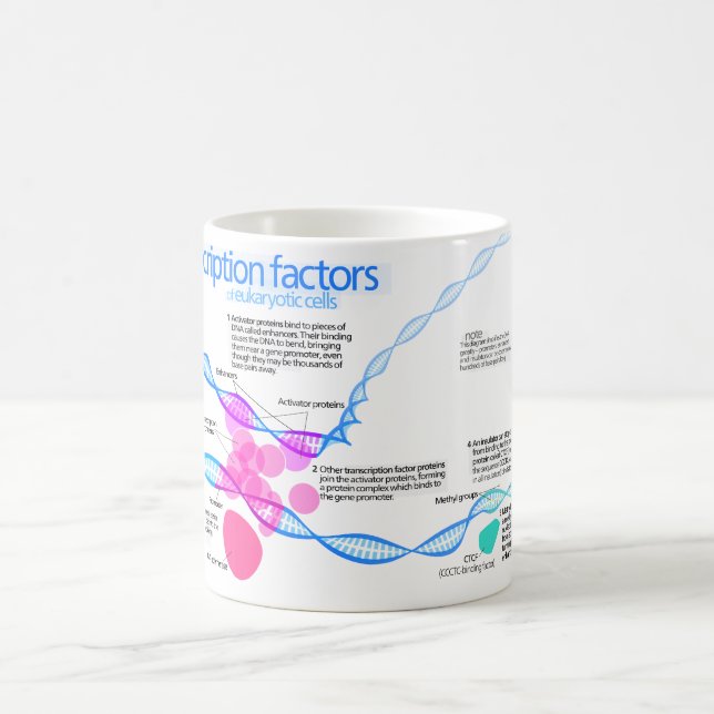 Mug Diagramme des facteurs de transcription de gène (Centre)