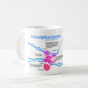 Mug Diagramme des facteurs de transcription des gènes 