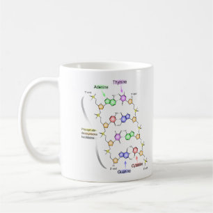 Mug Diagramme détaillé de la constitution chimique d