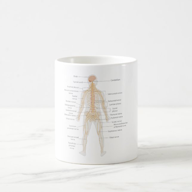 Mug Diagramme du corps nerveux du corps humain (Centre)
