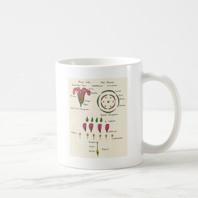 Mug Diagramme floral (Droite)