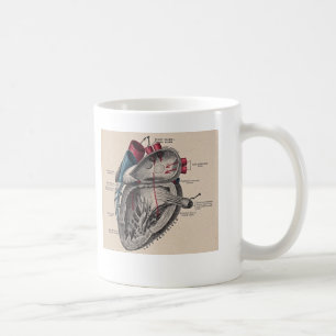 Mug Diagramme humain antique d'anatomie de coeur