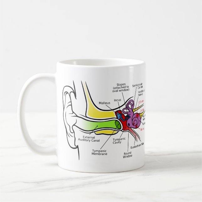 Mug Diagramme humain d'oreille avec la cartographie (Gauche)