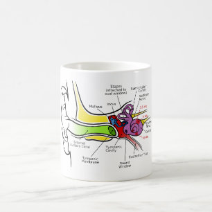 Mug Diagramme humain d'oreille avec la cartographie