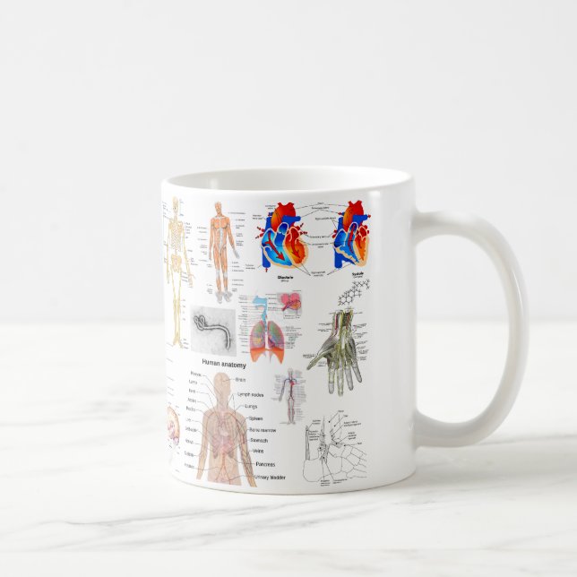 Mug Diagrammes humains d'anatomie (Droite)