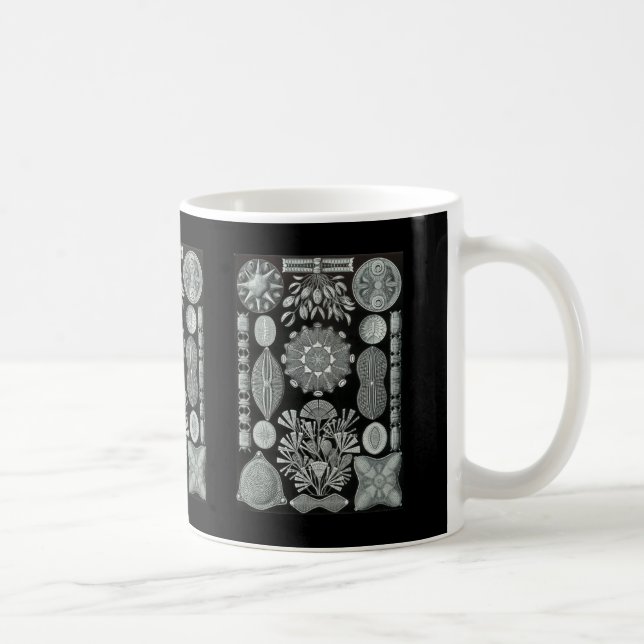 Mug Diatomées (Droite)