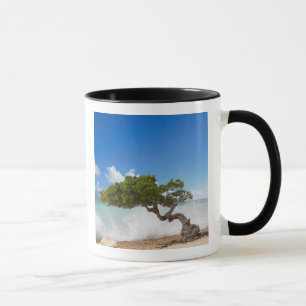 Mug Divi Divi Divi Tree, Eagle Beach, Aruba, Caraïbes