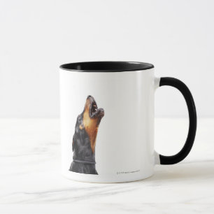 Mug Dobermann hurlant, plan rapproché