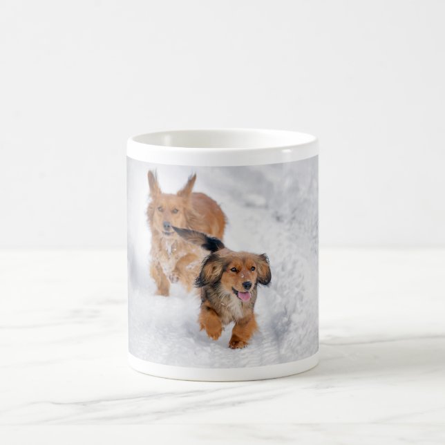 Mug Dogs (Centre)