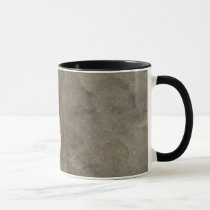 Mug Dollar de sable (Echinarachnius parma)