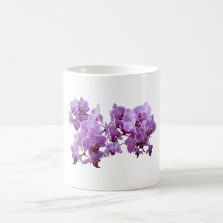 Mug domestica d'orchidea