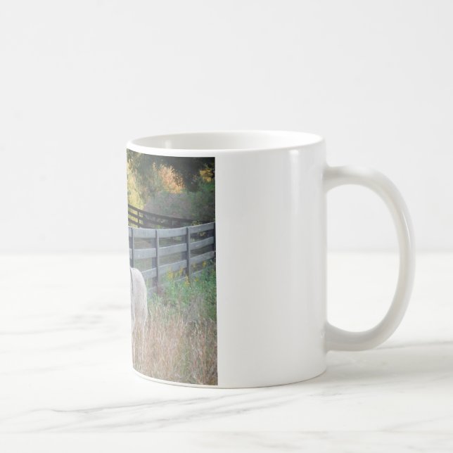 Mug Donkey dans un champ d'automne (Droite)