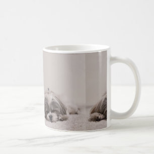 Mug Dormir Shih tzu Mug, Dormir Chien