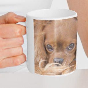 Mug Douce Ruby Cavalier King Charles Spaniel