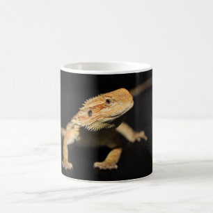 Mug Dragon barbu curieux