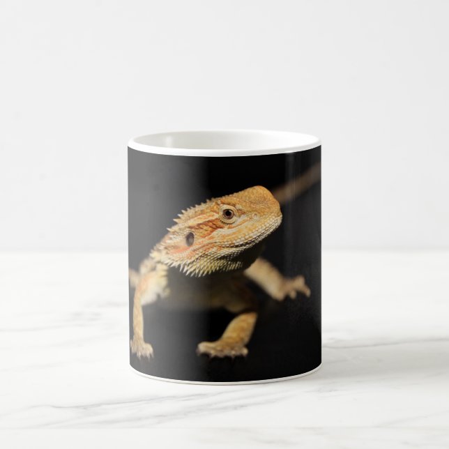 Mug Dragon barbu curieux (Centre)