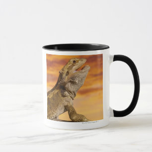 Mug Dragon barbu (Pogona Vitticeps) sur la roche,
