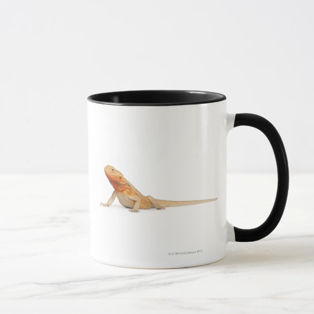 Mug Dragon barbu scaleless de SilkBacks - Pogona (Droite)