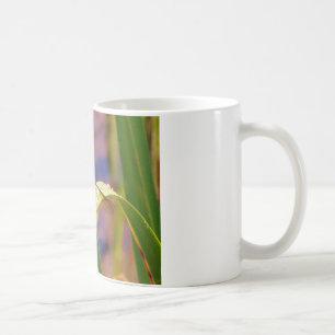 Mug Dragonfly sur la feuille de pluie