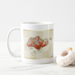 Mug Drapeau + Carte de Singapour