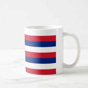 Mug Drapeau d'état d'Hawaï