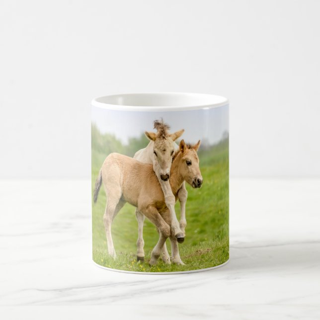 Mug Drôle Chevaux Konik Sauvages Foals Jouant Ensemble (Centre)