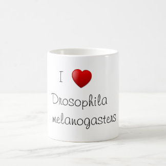 Mug Drosophile