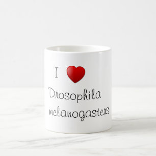 Mug Drosophile