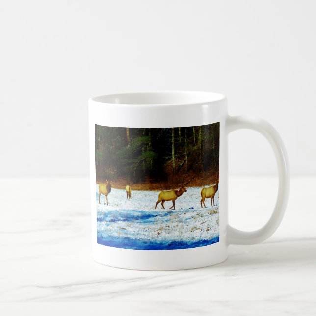 MUG DSC00131.JPG (Droite)