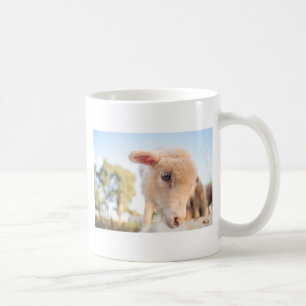 MUG _DSC2491