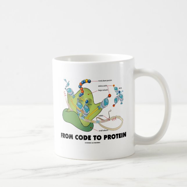 Mug Du code à la protéine (synthèse de protéine) (Droite)