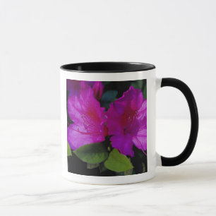 Mug É.-U. Géorgie, Savannah. Azalée en fleurs.