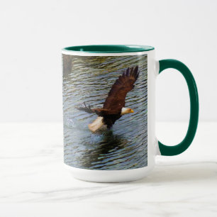 Mug Eagle chauve mûr chassant l'art de faune