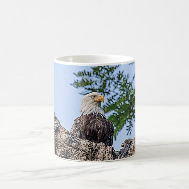 Mug Eagle chauve sur une branche d'arbre (Centre)