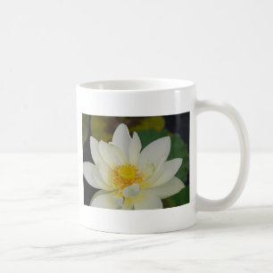 Mug Eau de crème Lily02.JPG