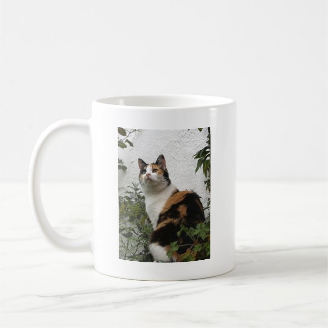 Mug Écaille et chat blanc (Gauche)