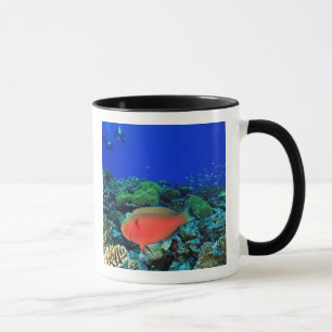 Mug Écart de poisson perroquet