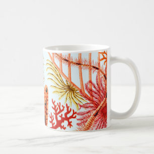 Mug Échinodermes de la Grande barrière de corail VIN