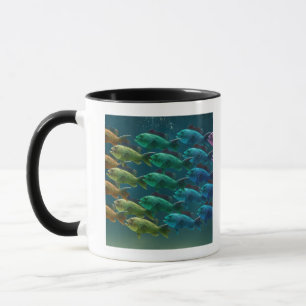 Mug École de basse de la Mer Noire dans les couleurs