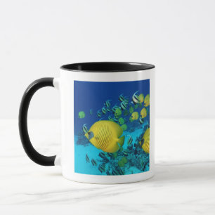 Mug École de la natation de poissons de papillon sur