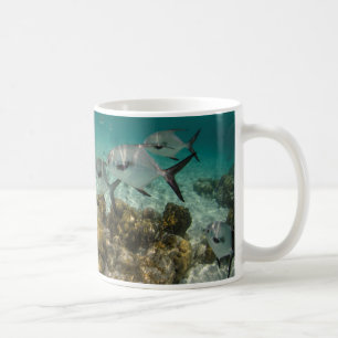 Mug École de permis de pêche