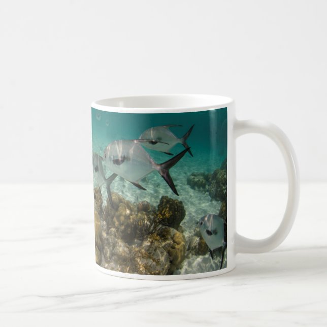 Mug École de permis de pêche (Droite)