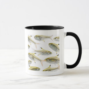 Mug École de tétra poissons de rayon X (Pristella