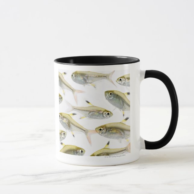 Mug École de tétra poissons de rayon X (Pristella (Droite)